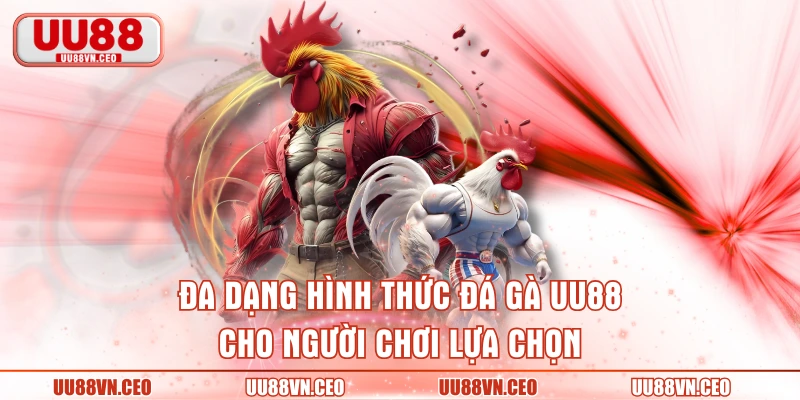 Đa dạng hình thức đá gà UU88 cho người chơi lựa chọn