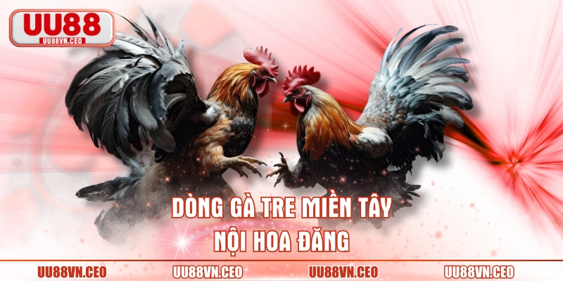 Dòng gà tre miền Tây nội hoa đăng