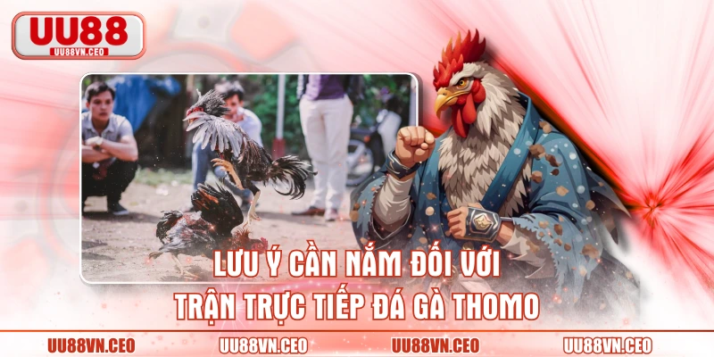 Lưu ý cần nắm đối với trận trực tiếp đá gà Thomo