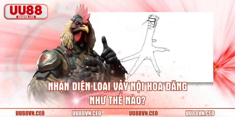 Nhận diện loại vảy nội hoa đăng như thế nào?